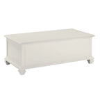 Steve Silver Castana Modern Farmhouse Soft White Lift-top Coffee Table