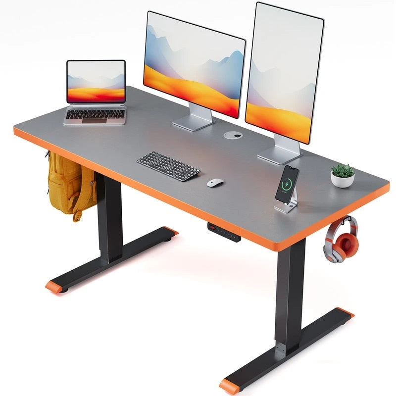 SIAGO 48 x 24 Inch Computer Desk Height Adjustable Electric Sit Stand Up Desk